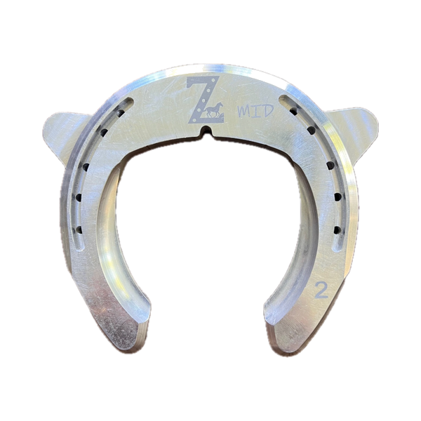 Suspensor Mid Anterior